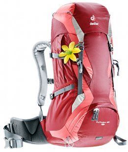 Рюкзак Deuter Futura 30L SL