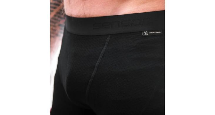 Термотруси чоловічі Sensor Merino DF, Black, S