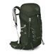 Рюкзак Osprey Talon 33
