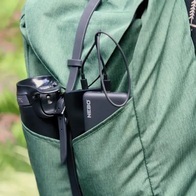 Повербанк Nebo 10K Powerbank w/Digital Display (NB NEB-PBK-0019-G)