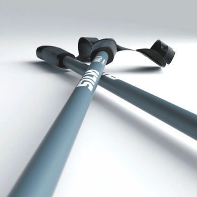 Walking Poles Aluminum палки для скандинавської ходьби (7318860204036) (SLV 38124)