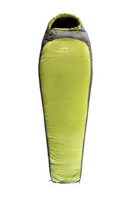 Спальник Tramp Boreal Regular green