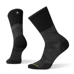 Термошкарпетки чоловічі Smartwool Men's PhD Pro Approach Crew (SW 01038.052-M)