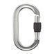 Карабин с муфтой Black Diamond Oval Keylock Screwgate Polished (BD 210084.POLS)