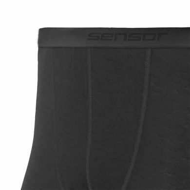 Термоштаны мужские Sensor Merino Active, L