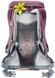 Рюкзак Deuter Zugspitze 22L SL
