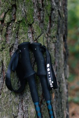 Трекінгові палиці Tribe Trekking Pole Carbon T-ME-0027-ocean