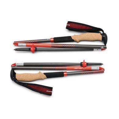 Pursuit Carbon Z палки трекинговые (Octane, 120 см) (793661655459) (BD 11000680011201)
