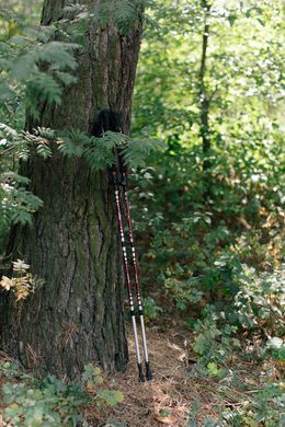 Трекінгові палиці Tribe Z-Pole Alu T-ME-0024-plum