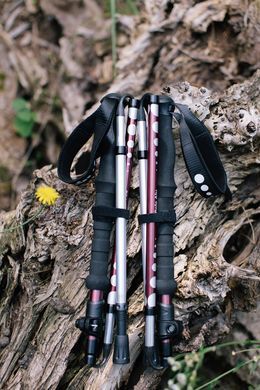 Трекінгові палиці Tribe Z-Pole Alu T-ME-0024-plum