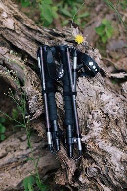 Трекінгові палиці Tribe Z-Pole Carbon T-ME-0025-plum