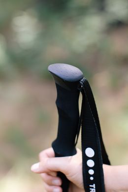 Трекінгові палиці Tribe Z-Pole Carbon T-ME-0025-plum