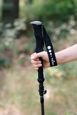 Трекінгові палиці Tribe Z-Pole Carbon T-ME-0025-plum