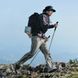 Трекінгова палиця Naturehike CNK2450DS016, 110 см, зелена