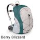 Рюкзак Osprey Zip 25