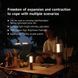 Многофункциональный фонарь-лампа NexTool Wukong Multifunctional Lamp