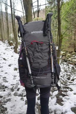 Рюкзак Pinguin Explorer 50, Khaki (PNG 373042)