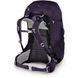 Рюкзак Osprey Fairview Trek 50