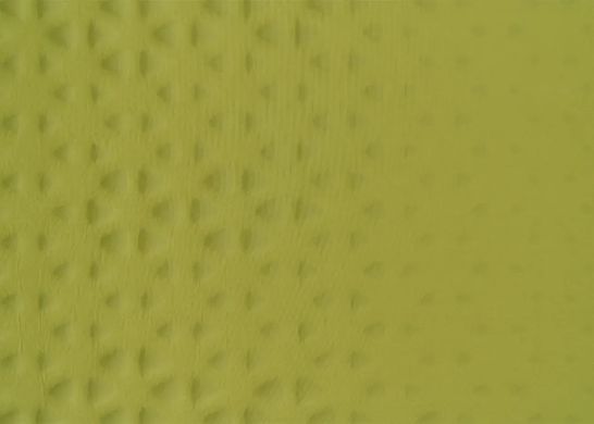 Самонадувний килимок Sea To Summit Self Inflating Camp Mat Olive (STS AMSICML)