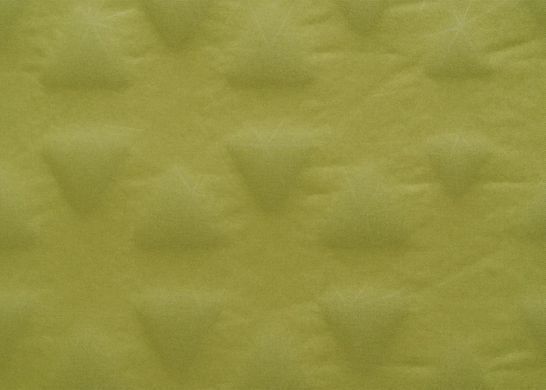 Самонадувний килимок Sea To Summit Self Inflating Camp Mat Olive (STS AMSICML)