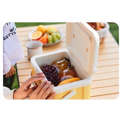 Сумка-холодильник Naturehike CNK2450CF012, 5 л, бежевий