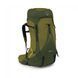 Рюкзак Osprey Atmos AG LT 50 scenic valley/green peppercorn - S/M