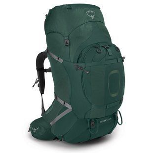 Рюкзак Osprey Aether Plus 85 Axo Green - S/M - зелёний