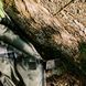 Спальник Totem Ember Plus XXL