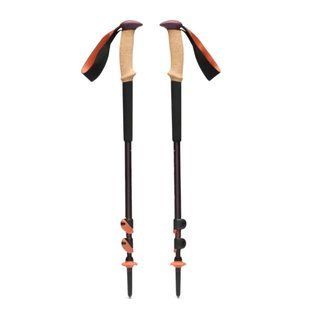 Trail Cork палки трекинговые (Fig) (793661665212) (BD 1100656052ALL1)