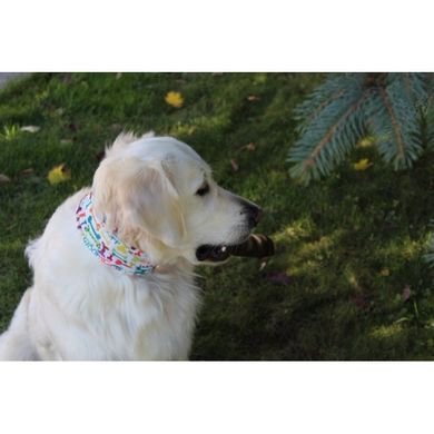 Шарф-труба для собак Buff Dog, Woof Multi - S/M (BU 115234.555.20.00)