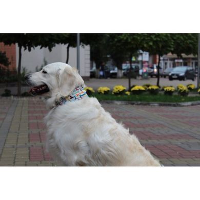 Шарф-труба для собак Buff Dog, Woof Multi - S/M (BU 115234.555.20.00)