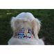 Шарф-труба для собак Buff Dog, Woof Multi - S/M (BU 115234.555.20.00)